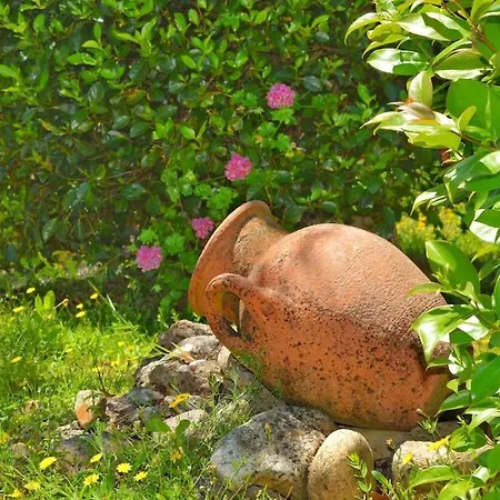 Holiday home Castelo De Bode Monte Do Valinho Country House With Private Pool And Panoramic Views *