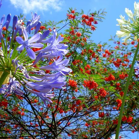 度假居 Castelo De Bode Monte Do Valinho Country House With Private Pool And Panoramic Views *