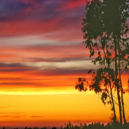 度假居 Castelo De Bode Monte Do Valinho Country House With Private Pool And Panoramic Views