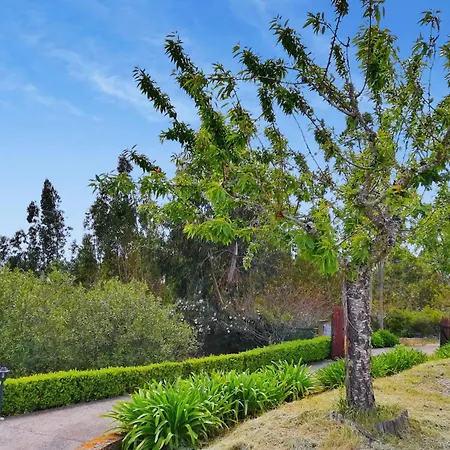 Castelo De Bode Monte Do Valinho Country House With Private Pool And Panoramic Views