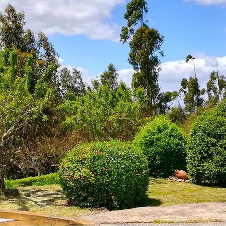 度假居 Castelo De Bode Monte Do Valinho Country House With Private Pool And Panoramic Views