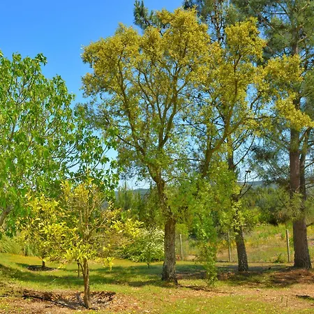 Castelo De Bode Monte Do Valinho Country House With Private Pool And Panoramic Views *