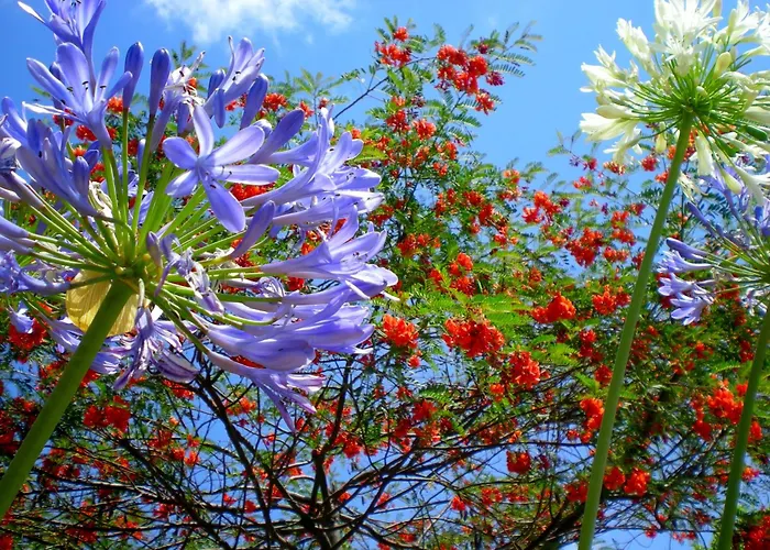 度假居 Castelo De Bode Monte Do Valinho Country House With Private Pool And Panoramic Views *