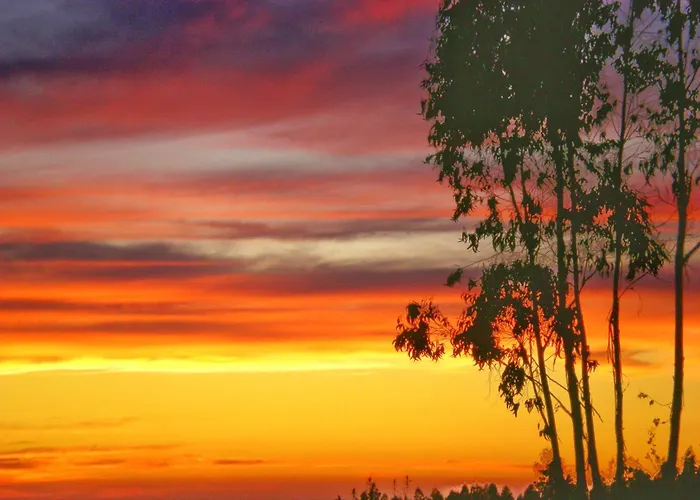 度假居 Castelo De Bode Monte Do Valinho Country House With Private Pool And Panoramic Views