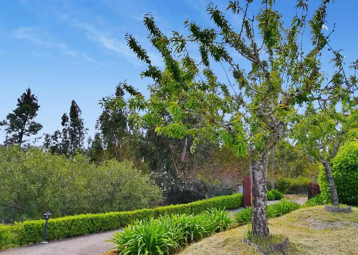 Castelo De Bode Monte Do Valinho Country House With Private Pool And Panoramic Views