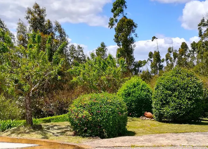 度假居 Castelo De Bode Monte Do Valinho Country House With Private Pool And Panoramic Views