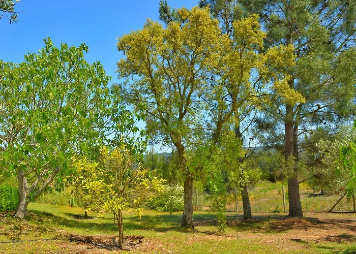 Castelo De Bode Monte Do Valinho Country House With Private Pool And Panoramic Views *